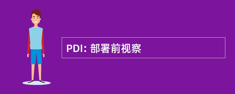 PDI: 部署前视察