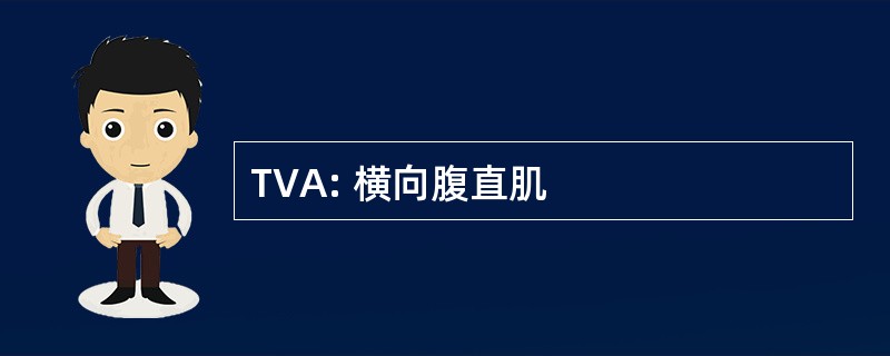 TVA: 横向腹直肌