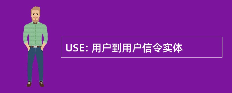 USE: 用户到用户信令实体