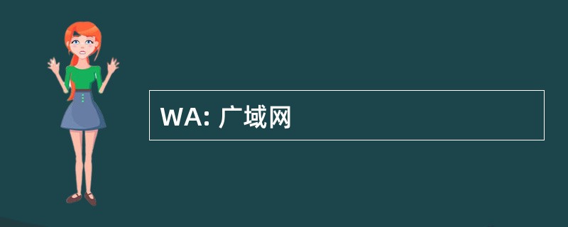 WA: 广域网