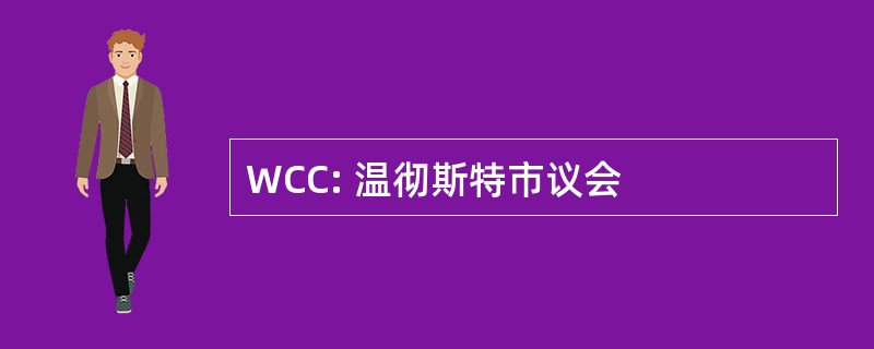 WCC: 温彻斯特市议会