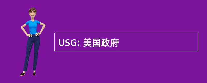 USG: 美国政府