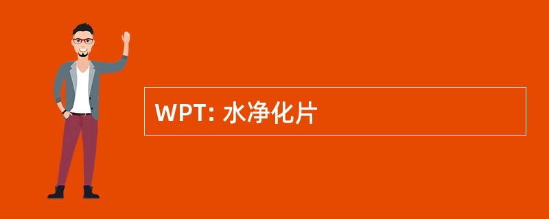 WPT: 水净化片