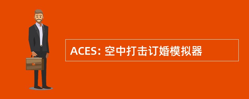 ACES: 空中打击订婚模拟器