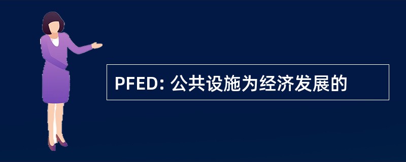 PFED: 公共设施为经济发展的