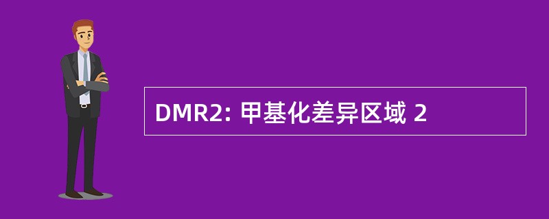 DMR2: 甲基化差异区域 2