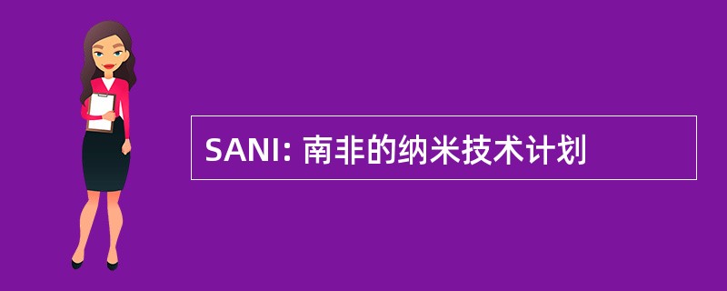 SANI: 南非的纳米技术计划