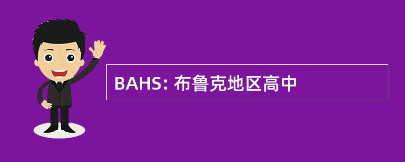 BAHS: 布鲁克地区高中