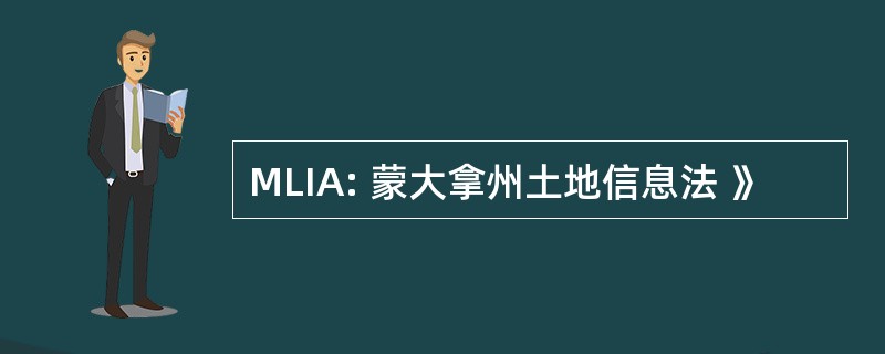 MLIA: 蒙大拿州土地信息法 》