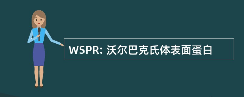 WSPR: 沃尔巴克氏体表面蛋白