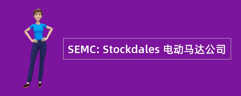 SEMC: Stockdales 电动马达公司