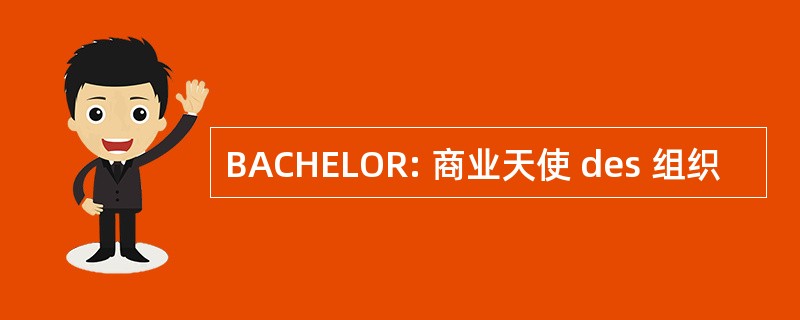 BACHELOR: 商业天使 des 组织