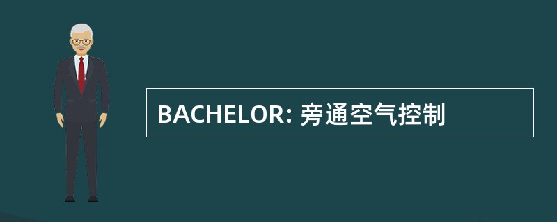 BACHELOR: 旁通空气控制