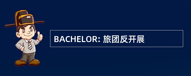 BACHELOR: 旅团反开展