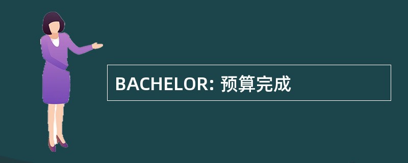 BACHELOR: 预算完成