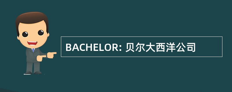 BACHELOR: 贝尔大西洋公司