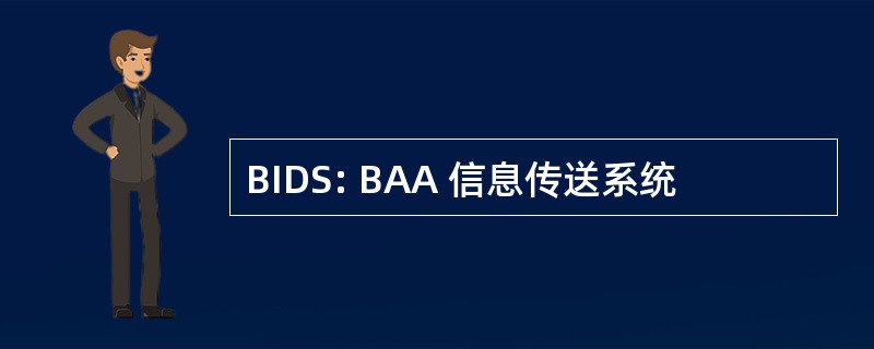 BIDS: BAA 信息传送系统