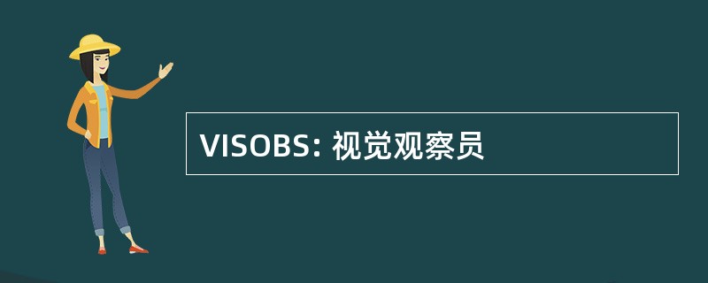 VISOBS: 视觉观察员