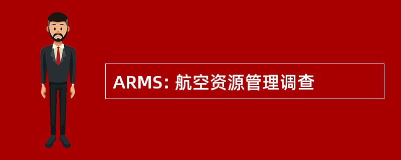 ARMS: 航空资源管理调查