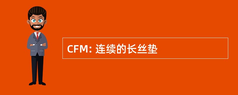 CFM: 连续的长丝垫