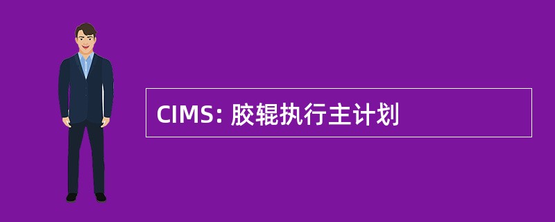 CIMS: 胶辊执行主计划