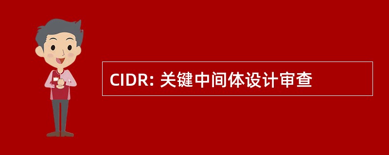 CIDR: 关键中间体设计审查