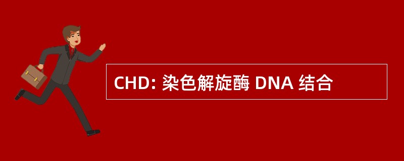 CHD: 染色解旋酶 DNA 结合