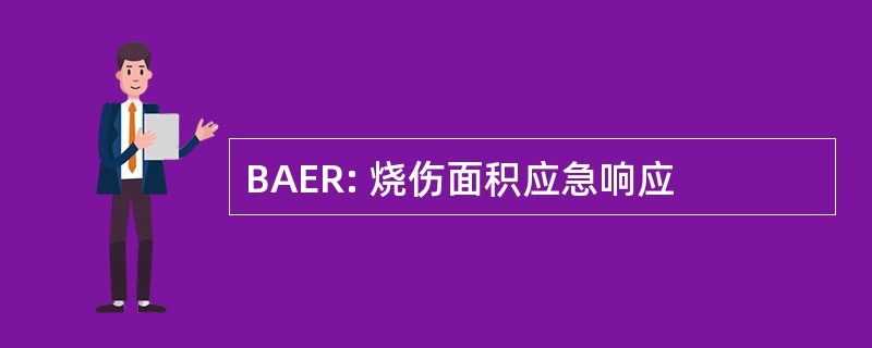 BAER: 烧伤面积应急响应