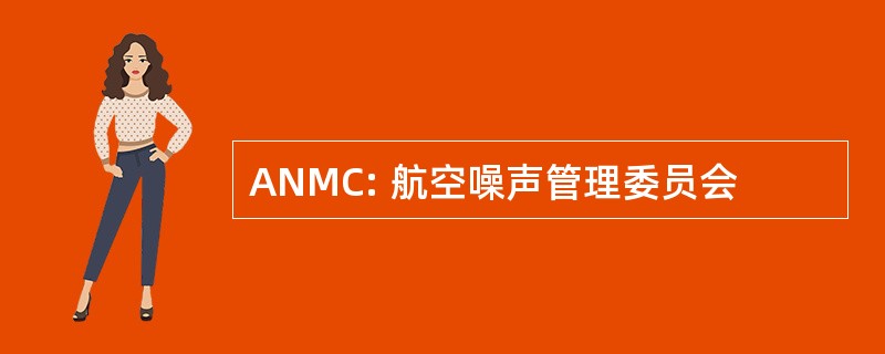 ANMC: 航空噪声管理委员会