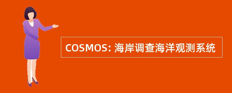 COSMOS: 海岸调查海洋观测系统