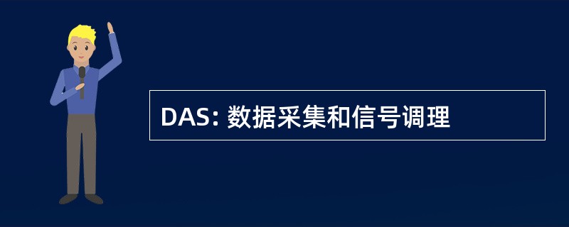 DAS: 数据采集和信号调理