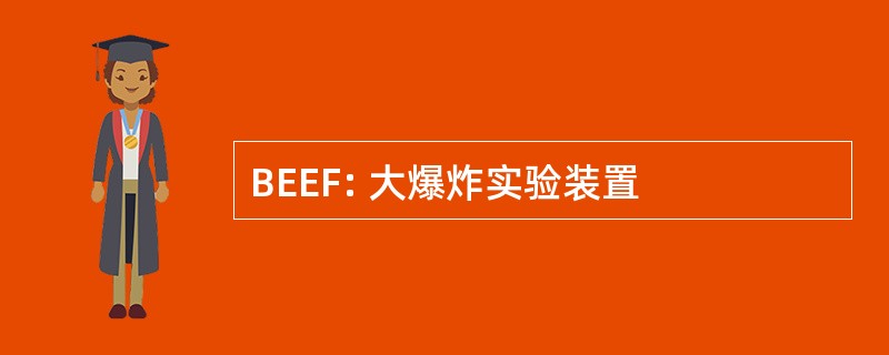 BEEF: 大爆炸实验装置