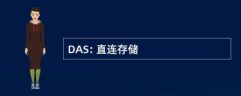 DAS: 直连存储