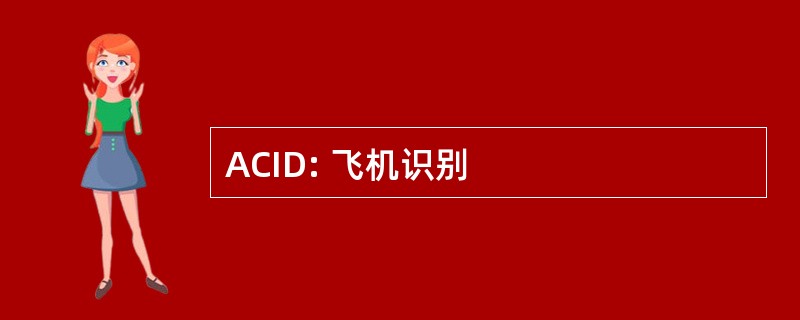 ACID: 飞机识别