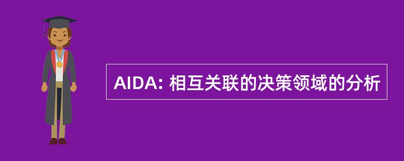 AIDA: 相互关联的决策领域的分析