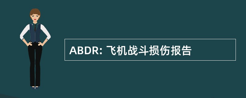 ABDR: 飞机战斗损伤报告