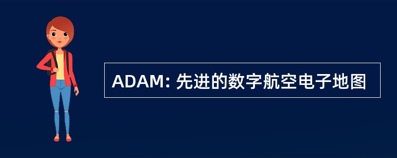 ADAM: 先进的数字航空电子地图