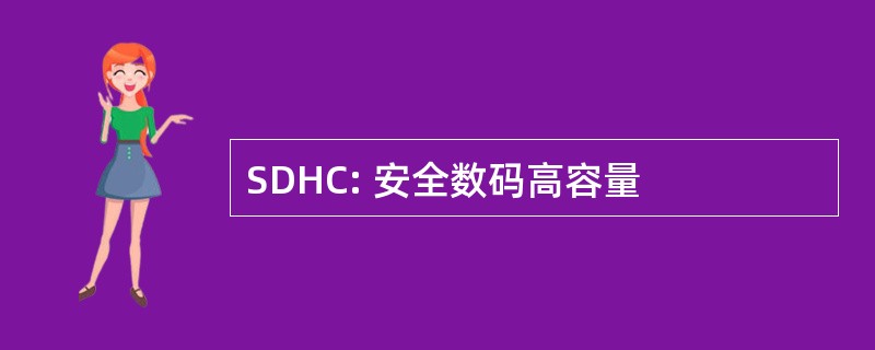 SDHC: 安全数码高容量