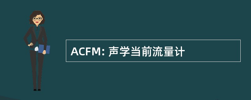 ACFM: 声学当前流量计