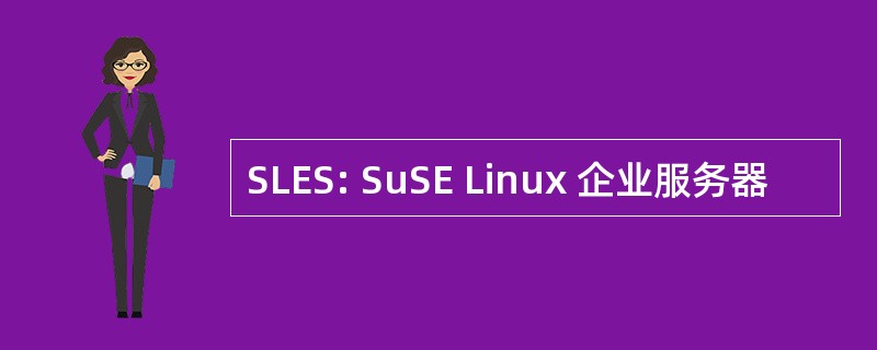 SLES: SuSE Linux 企业服务器