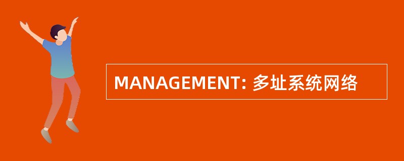 MANAGEMENT: 多址系统网络