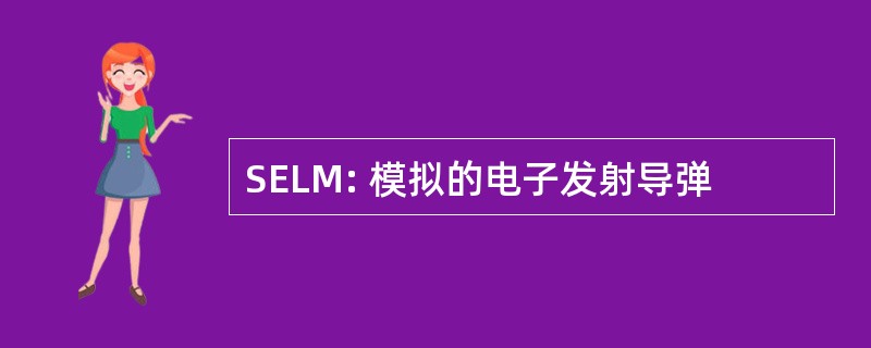 SELM: 模拟的电子发射导弹