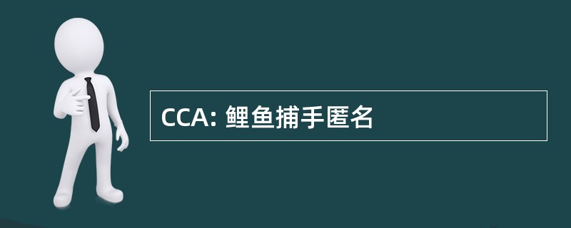 CCA: 鲤鱼捕手匿名