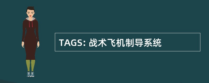 TAGS: 战术飞机制导系统