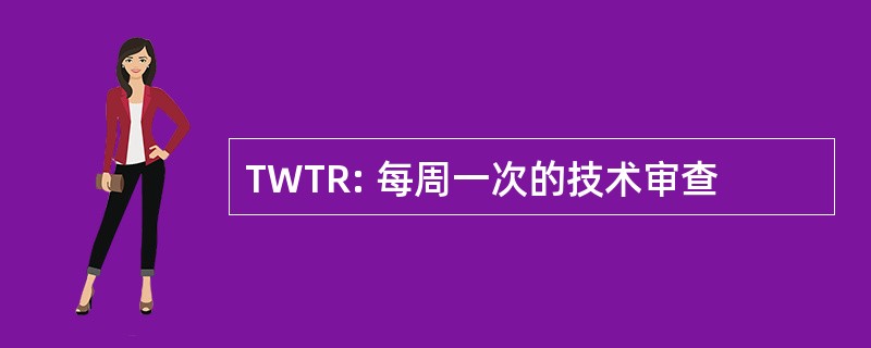 TWTR: 每周一次的技术审查