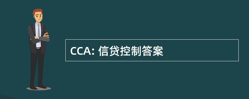 CCA: 信贷控制答案