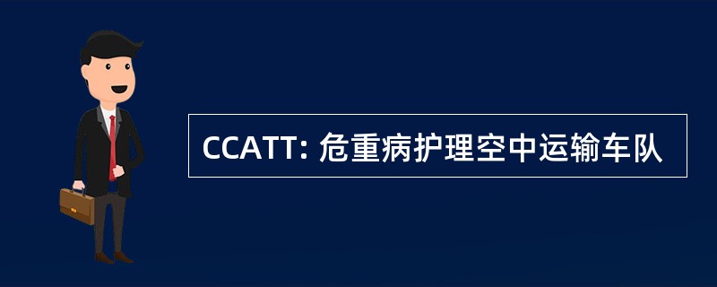 CCATT: 危重病护理空中运输车队