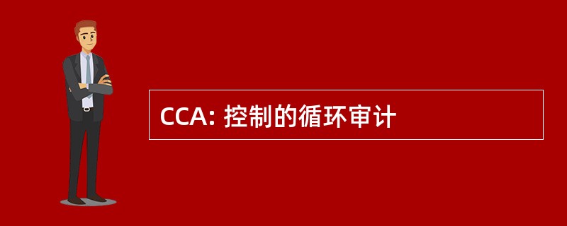 CCA: 控制的循环审计