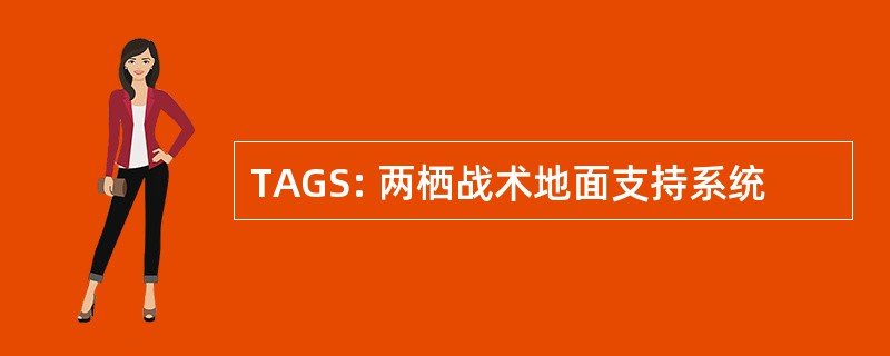 TAGS: 两栖战术地面支持系统