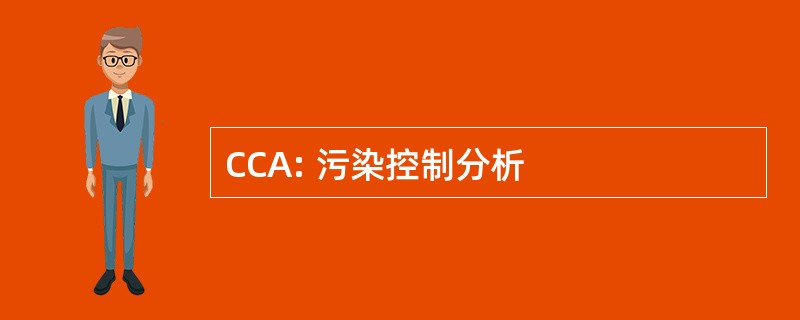 CCA: 污染控制分析